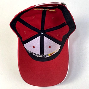 Quality Cotton Baseball Cap Sports Cap with Heavy 3D Puff Embroidery Fashion Hat Snapback Hat Promotion Hat