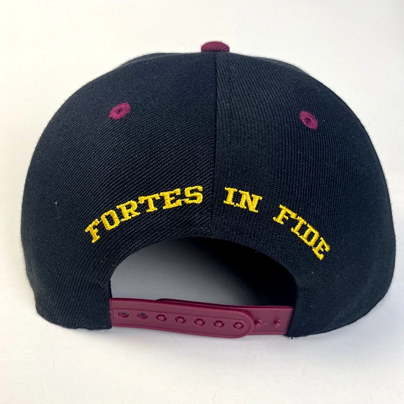 Capwindow Wholesale 100% Acrylic  Fashion Embroidered Customized Snapback Sports Cap Hat