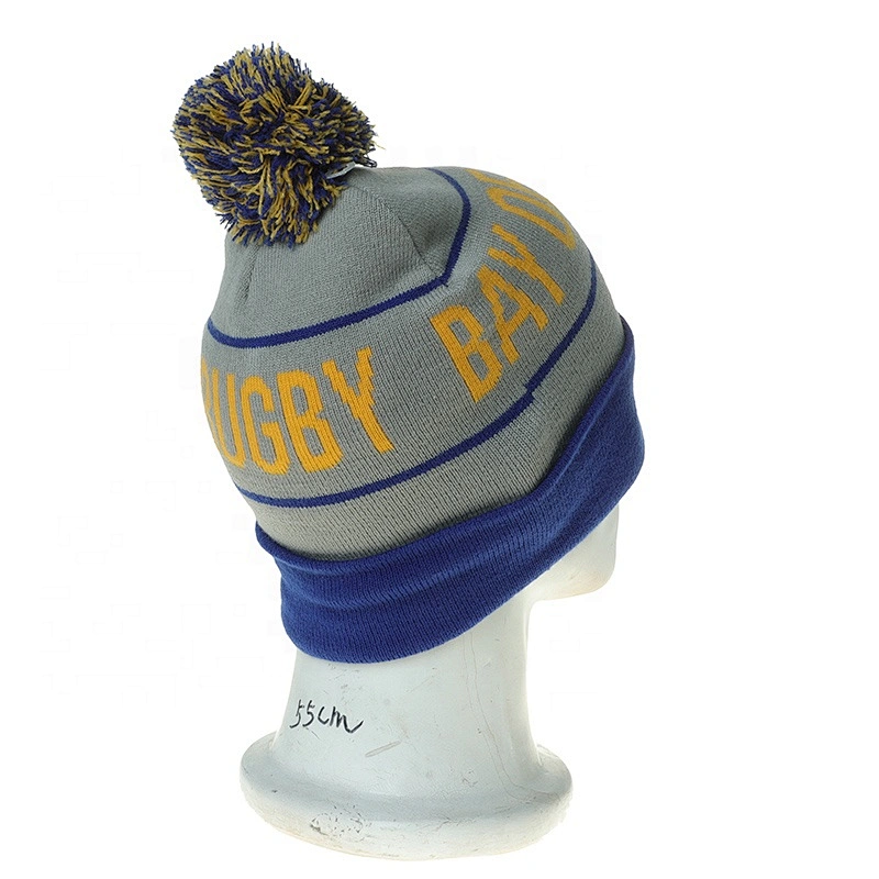 New Fashion Style Winter Beanie Cap With Embroidered Logo And Pompom