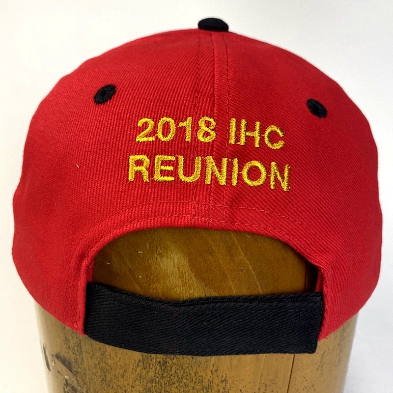 Capwindow High Quality Custom Embroidered Sports Leisure Baseball Cap for Promotion