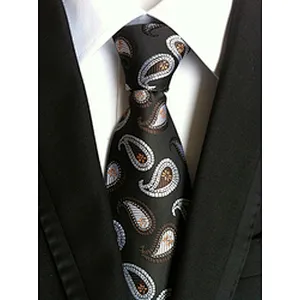 Wholesale Silk Neckties Men Luxury Paisley Silk Ties Jacquard Woven Polyester Cravate Homme