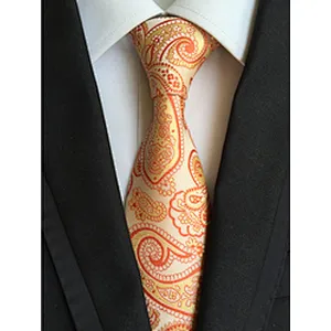 Wholesale Silk Neckties Men Luxury Paisley Silk Ties Jacquard Woven Polyester Cravate Homme