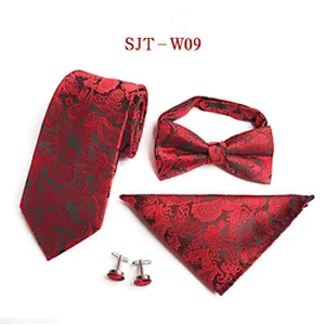 Custom Tie Pocket Square And Cufflink Set Fashion Mens Neck Tie Set Casual Paisley Bow Tie Necktie Set Gift Box