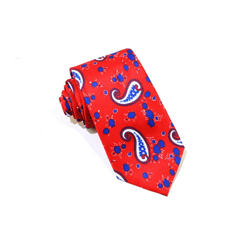 High Quality 100% Pure Silk Printing Paisley Pattern Men Neck Ties