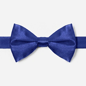 wholesale solid party bowtie display