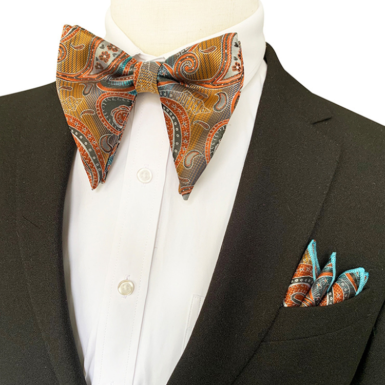 Paisley Mens Bow Ties and Hanky Sets Custom Pocket Squares for Men Casual Men Bow Tie Sets Handkerchief Set