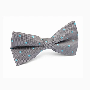 Factory Sale Simple Dot Boy Bowtie Neck Bow Tie Custom Designs Silk for Father and Son Embroidered Colorful
