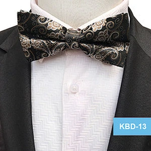 Wholesale Classic Polyester Bow Tie Straps Self Tie Bow Ties For Men