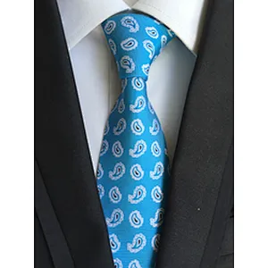 Custom Neckties Men Luxury Jacquard Cravate Homme Polyester Paisley Silk Ties