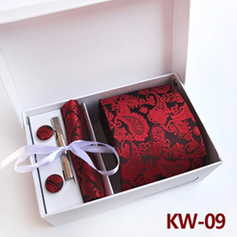 Paisley Neckties With Pocket Squares Custom Tie Pocket Square and Cufflink Set Gift Box Fashion Men Ties and Hanky Set