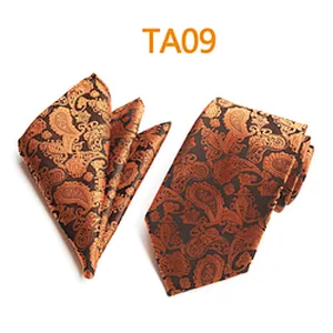 Fashion Mens Polyester Tie and Pocket Square Set