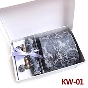 Paisley Neckties With Pocket Squares Custom Tie Pocket Square and Cufflink Set Gift Box Fashion Men Ties and Hanky Set