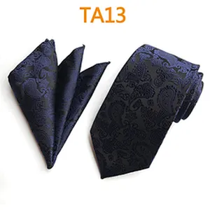 Fashion Mens Polyester Tie and Pocket Square Set