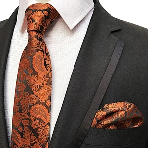 Custom Men Ties and Hanky Set Casual Paisley Neckties with Pocket Square Wholesale Ensemble Cravate Mouchoirs