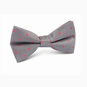 Factory Sale Simple Dot Boy Bowtie Neck Bow Tie Custom Designs Silk for Father and Son Embroidered Colorful