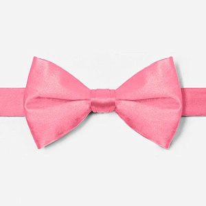 wholesale solid party bowtie display