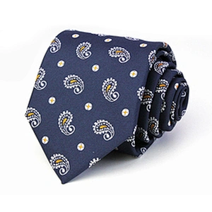 Custom Tie Luxury Mens Neck Tie Set Corbatas Por Mayoreo Paisley Polyester Ties For Men Italian