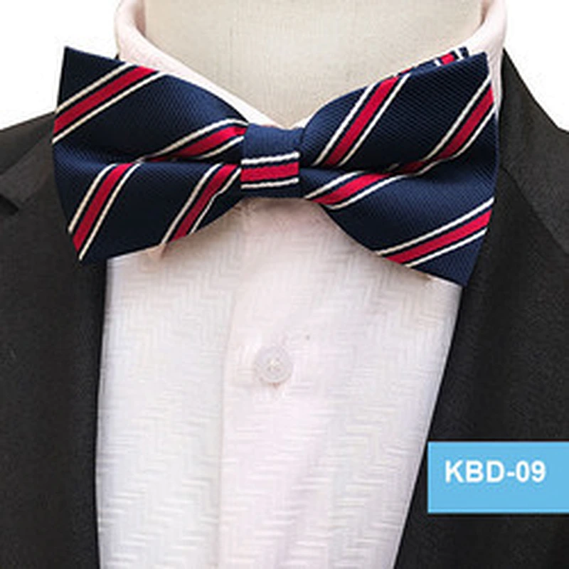 Wholesale Classic Polyester Bow Tie Straps Self Tie Bow Ties For Men