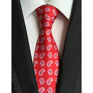 Custom Neckties Men Luxury Jacquard Cravate Homme Polyester Paisley Silk Ties