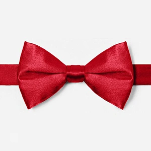 wholesale solid party bowtie display