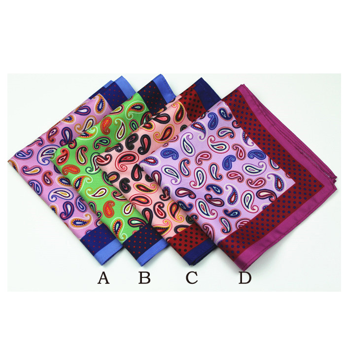 paisley pocket hanky mens pocket square tie with hanky DPS5357