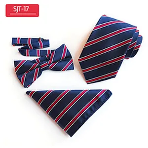 Classic Paisley Men Ties and Hanky Set Casual Neckties with Pocket Square Custom Men Bow Tie Set Handkerchief Set