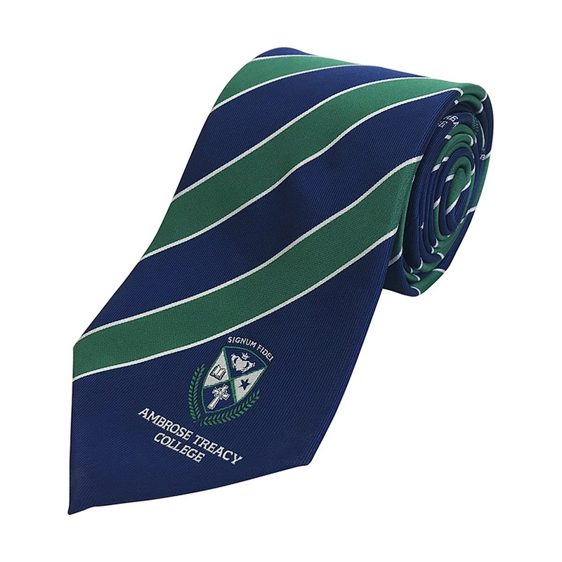Wholesale School Ties Necktie Casual Stripe Silk or Polyester Logo Ties Jacquard Woven Ties For Children