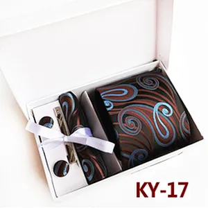 Paisley Neckties With Pocket Squares Custom Men Ties and Hanky Set Casual Tie Clip Pocket Square and Cufflink Set Gift Box