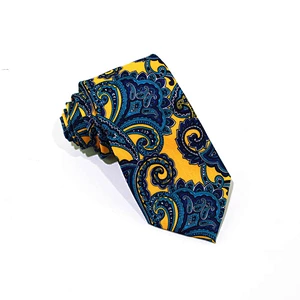 High Quality 100% Pure Silk Printing Paisley Pattern Men Neck Ties