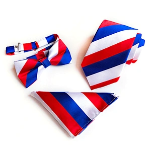 Fashion Neckties with Pocket Square Casual Dot Men Ties and Hanky Set Party Men Bow Tie Set Handkerchief Set