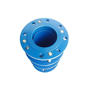 Pipe Fitting Industrial Standard B2F Dismantling Joint With Flange