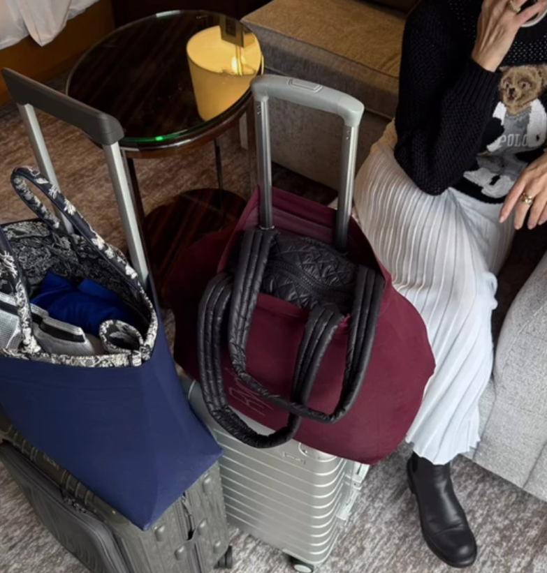 Do you travel with designer bags? Discover the pros, cons, and smart tips for carrying luxury handbags while traveling stylishly and safely.