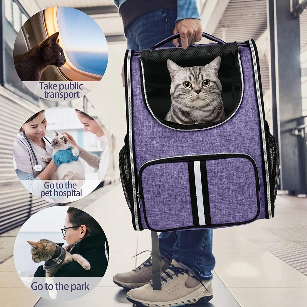 Explore the unique design features of pet backpack, their versatile uses, and how XINHUI offers customizable options.