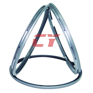 DB58 ring piston