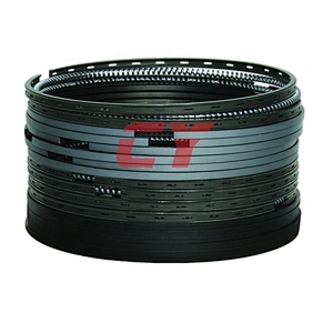 DB58 ring piston