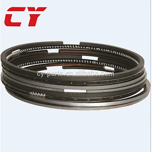 EP100 Piston ring set