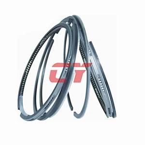 6BD1 piston ring