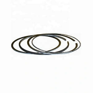 D1146 piston ring
