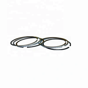 6D16 piston ring