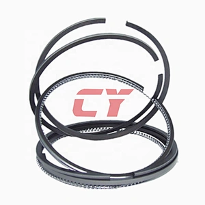 6DS70 ring piston