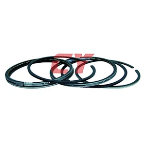 S6D170 Rings Piston