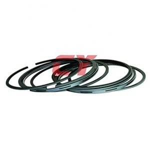 4D95 piston ring