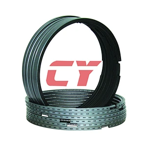 D2366  Piston Ring  Parts