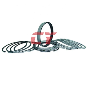 S6D170 Rings Piston