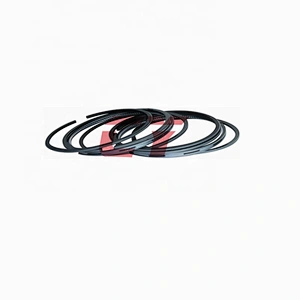 EL100 piston ring