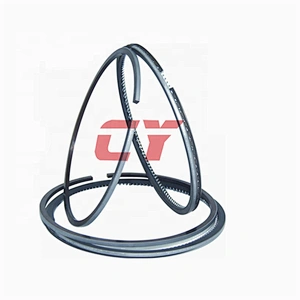 6D16 piston ring
