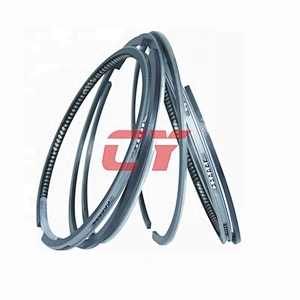 4D95 piston ring