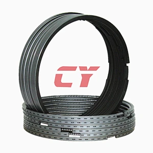 D1146 piston ring