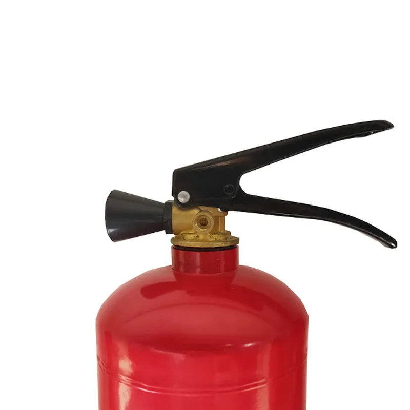 Hot sale Portable 1KG ABC Dry Chemical Powder Fire Extinguisher