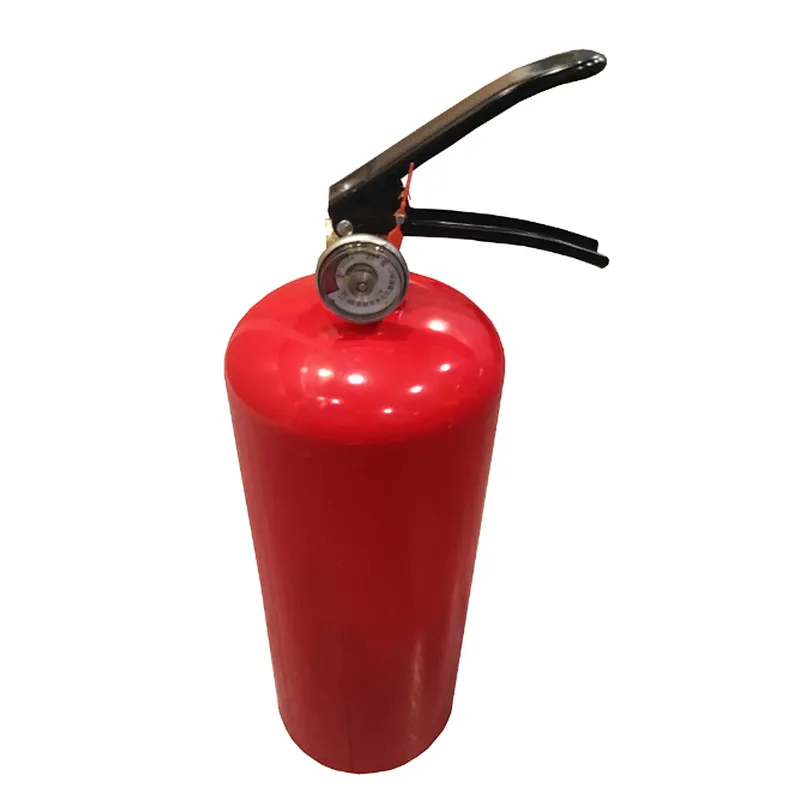 Hot sale Portable 1KG ABC Dry Chemical Powder Fire Extinguisher